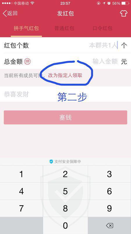 红包群资料,社交新风尚下的财富共享现象”