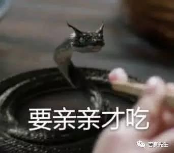 杨幂小黑蛇表情包,萌动瞬间，网络狂欢