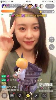 网红主播 vip视频,独家内容背后的魅力与争议