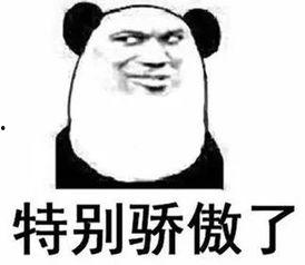 贵州大方喊全搞笑,一场别开生面的方言狂欢盛宴